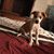 Brandi Clark Raley's profile image