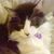 Gail Nuenthal-Corralejo's profile image