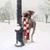 Lisa Anderson's profile image