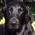 Patti Hutchins's profile image