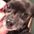 Barbara Wamsley's profile image