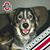 Bob Detrick's profile image