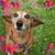 Marilyn Love's profile image