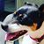 Karen Abbott Hensley's profile image
