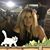 Francesca G. Morris's profile image