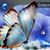 Antonell Carra's profile image