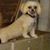 Paula Murray's profile image