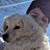 Zaiden Fulmer's profile image