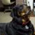 Bones Spencer's profile image