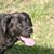 Bonnie Schindler's profile image