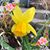 Lisa Waner's profile image