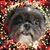Ann Rangel-Burt's profile image