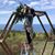 Bobbi Bicigo's profile image