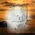 David Perske's profile image