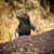 Lhasa Graff's profile image