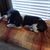 Glenda Lewis Smith's profile image