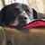 Irene Konis Berry's profile image
