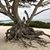 Laura Galyean Richards's profile image