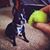 Marshall McDuffie's profile image