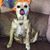 Vicki Weber Nettesheim's profile image