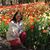 Lisa Boeckmann Meek's profile image