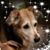 LuVone Mitchell-Mraz's profile image