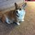Joyce Bollinger's profile image