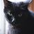 Herb Horner's profile image
