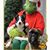 Rebecca Weerts's profile image