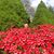 Evelyn Dobbins's profile image