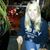 Dorothy Patricio's profile image