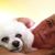 Tammie Farmer's profile image