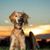 Julie W.'s profile image