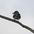 Luis Calde's profile image