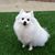 Terri Freeland's profile image