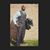 David Garrett's profile image