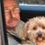 Tim Nichols's profile image