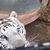 Jessica Scherry Lelesch's profile image