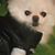 Sarah Erickson's profile image