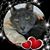 Amber Senn's profile image