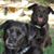 Lea A Masterson's profile image