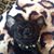 Robin Noble's profile image