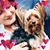 Lisa Barnhart Wilkey's profile image
