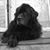Barbara Dottino's profile image