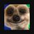 Lorraine Gauci's profile image