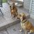 Karen Wutz's profile image