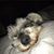 Linda Simons Smith's profile image