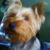 Gary D'Amato's profile image