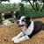 Coy Timbrook's profile image