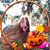 Lisa Legg's profile image